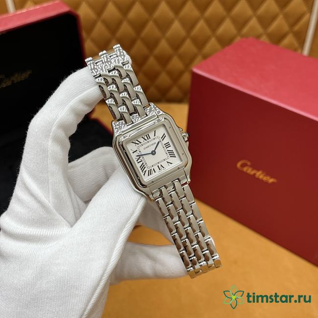 Cartier watch W2PN0016 31X42mm 02 - 1